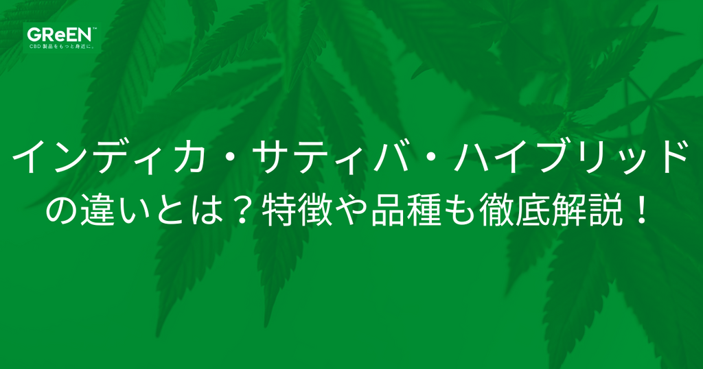 インディカ・サティバ・ハイブリッドの違いとは？特徴や品種も徹底解説！ | CBD_GReEN_Store CBDお役立ちコラム blog