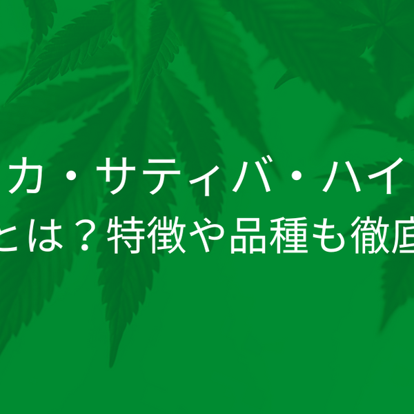 インディカ・サティバ・ハイブリッドの違いとは？特徴や品種も徹底解説！ | CBD_GReEN_Store CBDお役立ちコラム blog