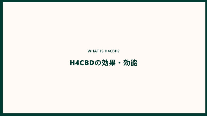 【飲む・肌に塗る】H4CBDオイル10% / 5フレーバー / 10ml / H4CBD1000mg