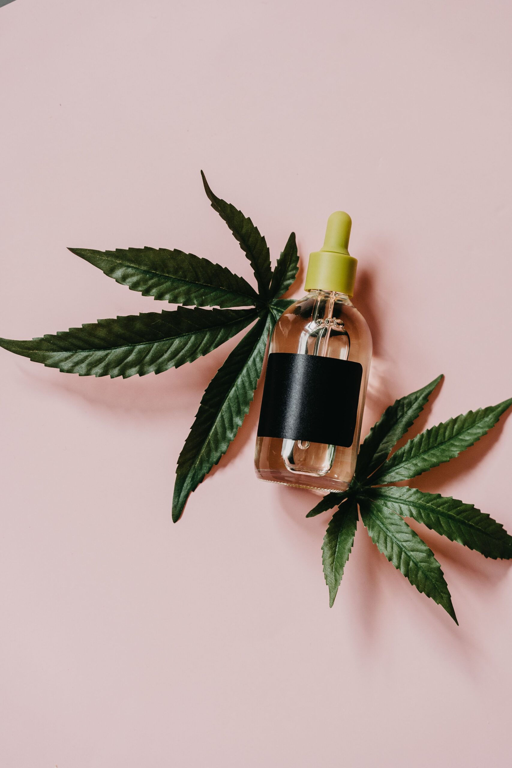 【スキンケア】CBDロールオン10% / エッセンシャルオイル / CBD1000mg | CBD製品 | CBD_GReEN_Store