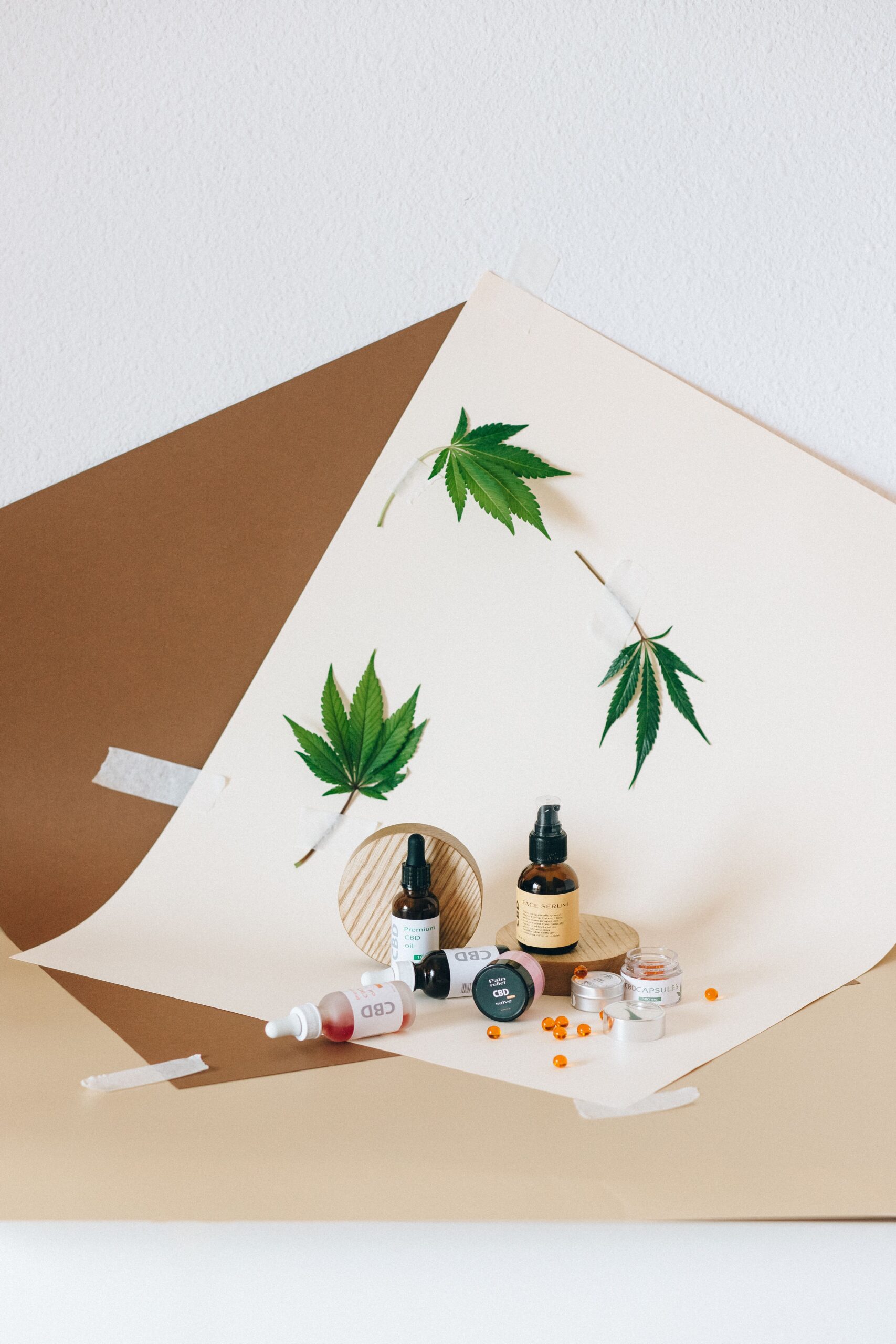 【吸引器具】ハイドロバブラー / 付属品 / ハウジングケース(プラスチック部品) | CBD製品 | CBD_GReEN_Store