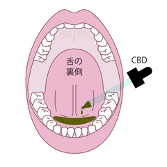 【飲む】CBDオイル1.6% / 3.3% / ブロードスペクトラム / 2スタイル / CBD500mg / CBD1000mg
